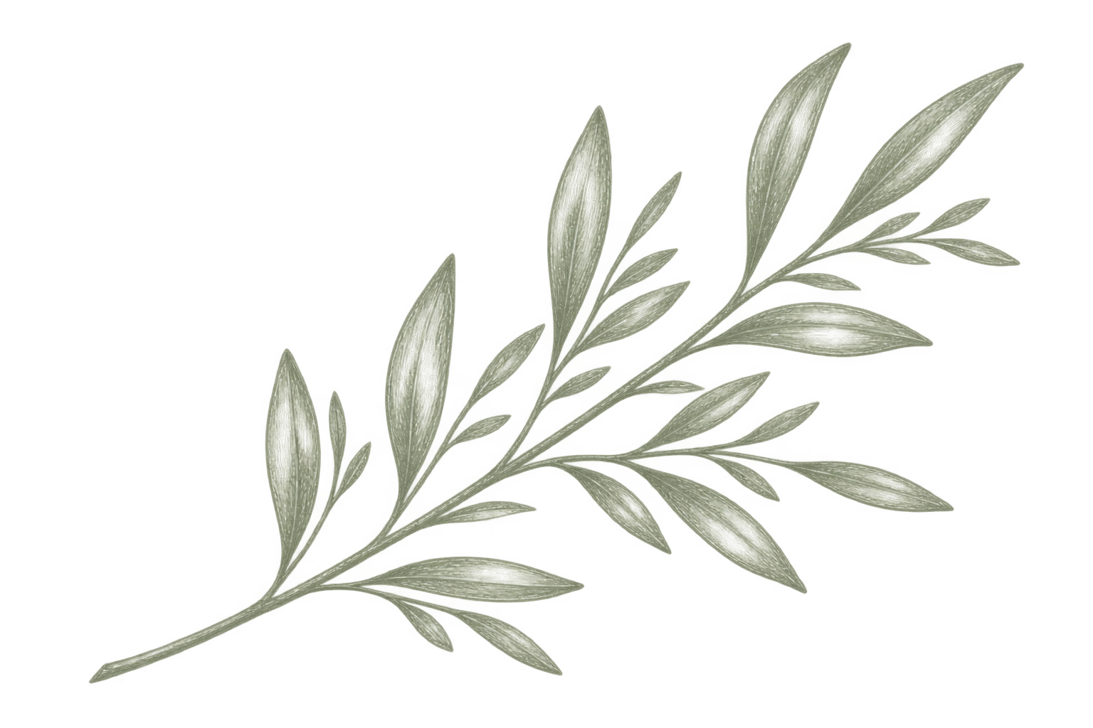 Hand-drawn botanical branch on a deep green background
